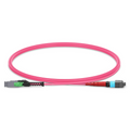 1m (3ft) MMC Jumper, MMC-24 APC (Female) to MTP®-24 UPC (Female), 24 Fibers, Multimode (OM4), Plenum (OFNP), 0.35dB Max, Jumper Polarity, Magent