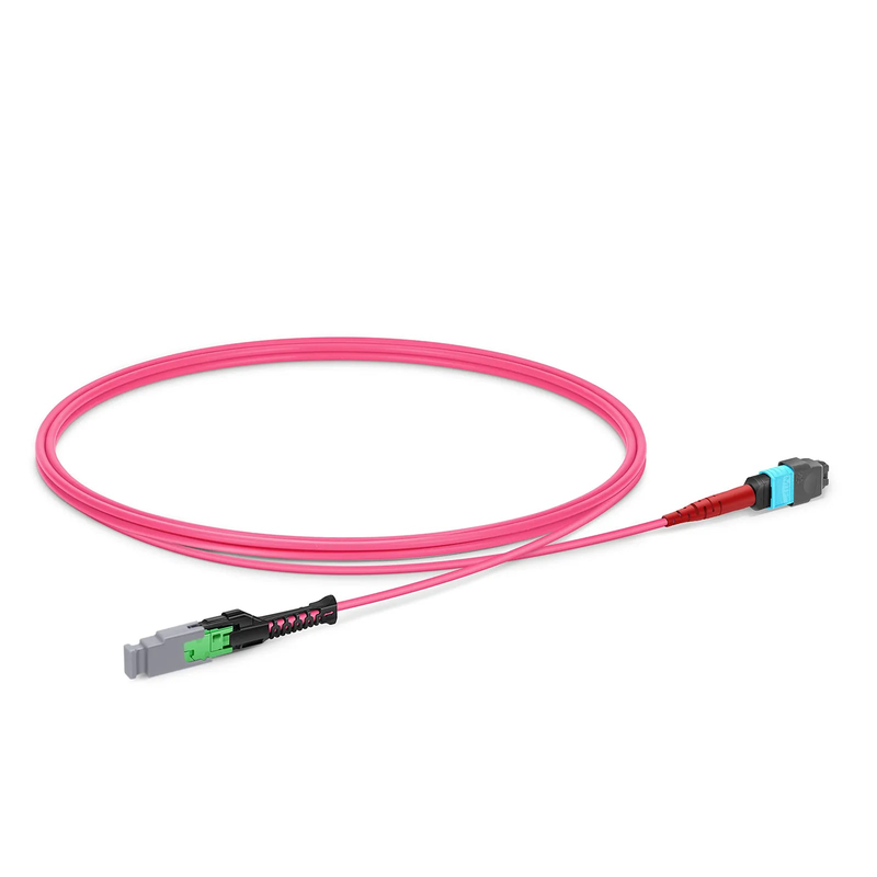1m (3ft) MMC Jumper, MMC-24 APC (Female) to MTP®-24 UPC (Female), 24 Fibers, Multimode (OM4), Plenum (OFNP), 0.35dB Max, Jumper Polarity, Magent