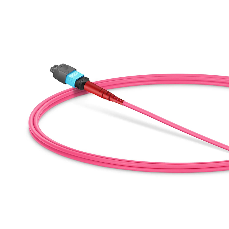 1m (3ft) MMC Jumper, MMC-24 APC (Female) to MTP®-24 UPC (Female), 24 Fibers, Multimode (OM4), Plenum (OFNP), 0.35dB Max, Jumper Polarity, Magent