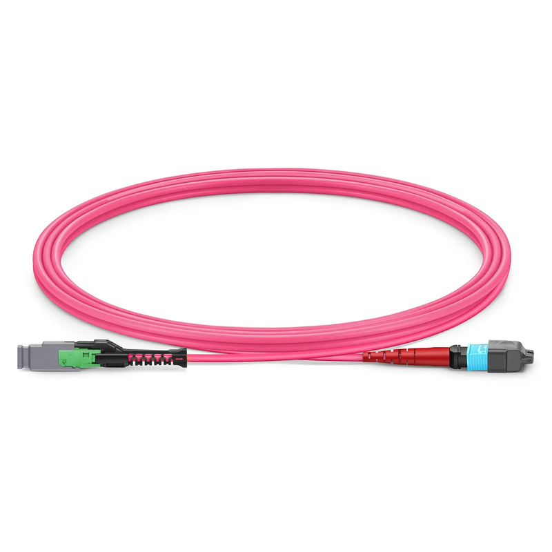2m (7ft) MMC Jumper, MMC-24 APC (Female) to MTP®-24 UPC (Female), 24 Fibers, Multimode (OM4), Plenum (OFNP), 0.35dB Max, Jumper Polarity, Magenta