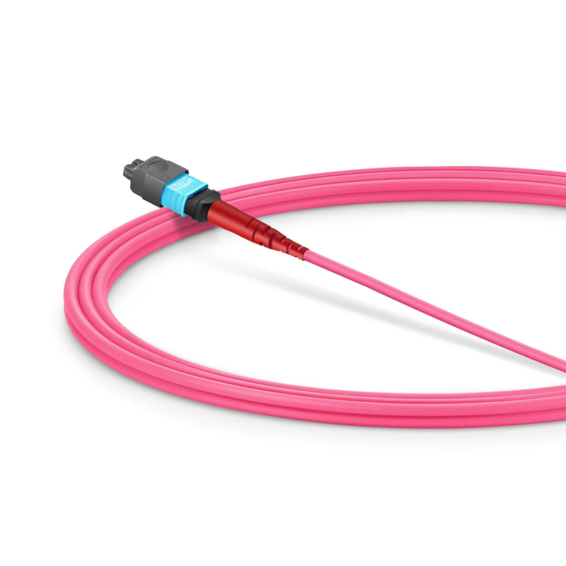 2m (7ft) MMC Jumper, MMC-24 APC (Female) to MTP®-24 UPC (Female), 24 Fibers, Multimode (OM4), Plenum (OFNP), 0.35dB Max, Jumper Polarity, Magenta