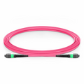 3m (10ft) MTP® Jumper, MTP®-16 APC (Female) to MTP®-16 APC (Female), 16 Fibers, Multimode (OM4), Plenum (OFNP), 0.35dB Max, Crossover, Magenta
