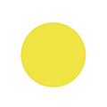 30μm 1 Piece Yellow Polishing Film with 127mm Diameter