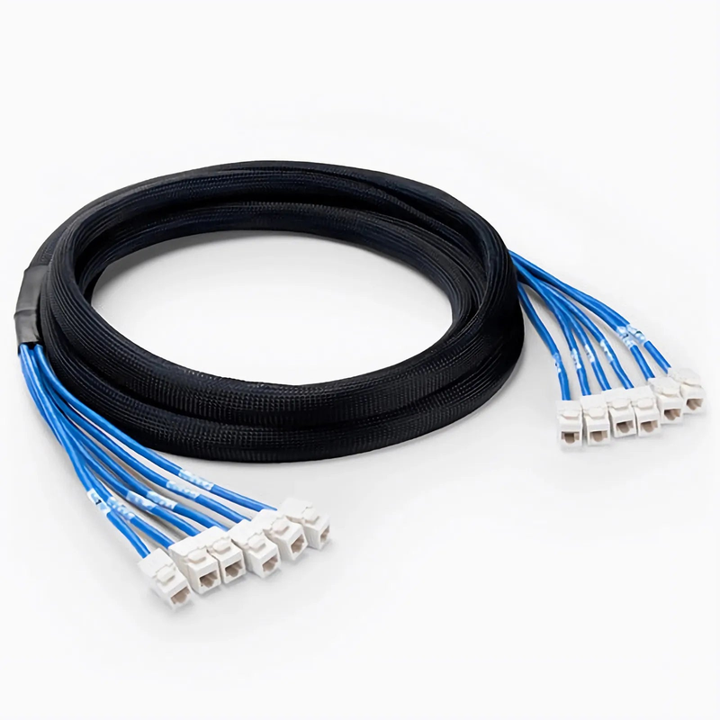 82ft (25m) 6 Jack to 6 Jack Cat6 Unshielded (UTP) PVC CMR Blue Pre-Terminated Copper Trunk Cable