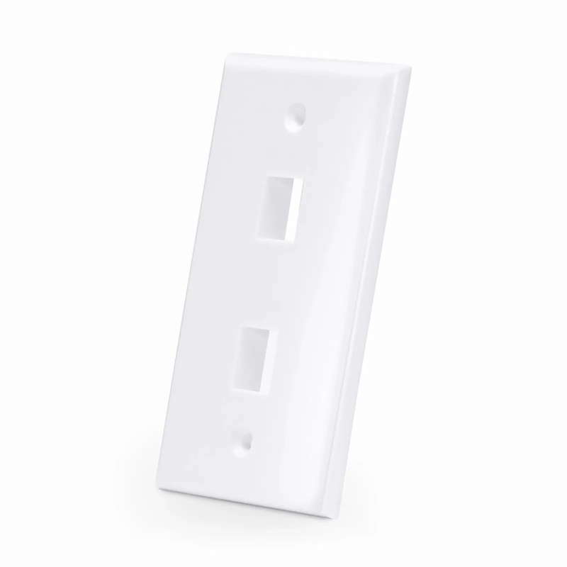 Two Ports Keystone Single Gang Wall Plate