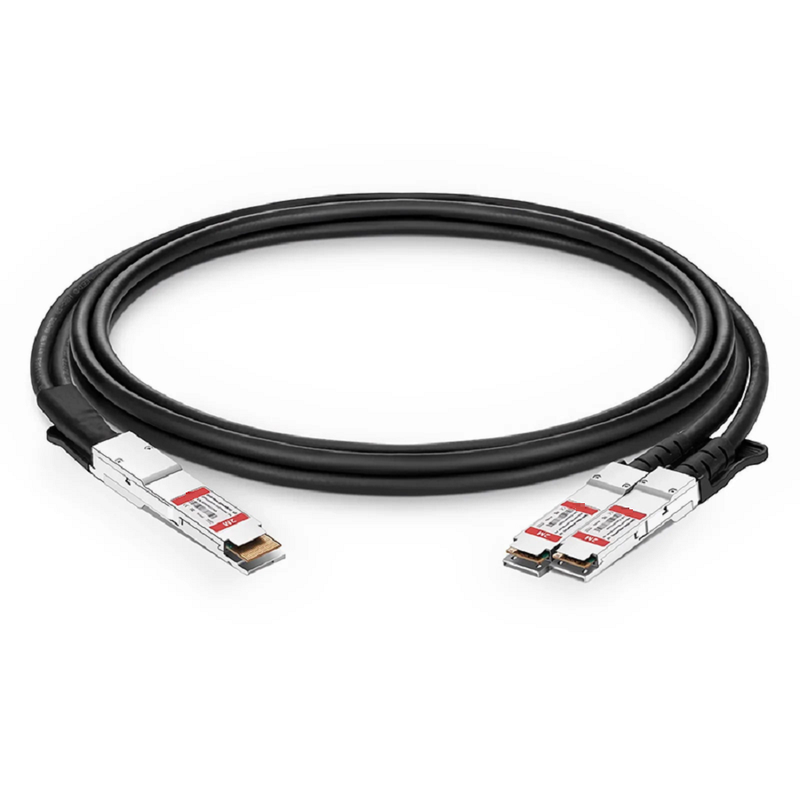 3m (10ft) Generic Compatible 200G QSFP-DD 8 x 25G NRZ to 2 x 100G QSFP28 4 x 25G NRZ Passive Direct Attach Copper Breakout Cable