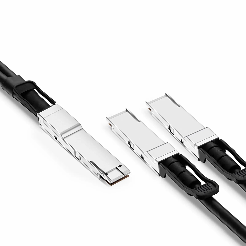 3m (10ft) Generic Compatible 200G QSFP-DD 8 x 25G NRZ to 2 x 100G QSFP28 4 x 25G NRZ Passive Direct Attach Copper Breakout Cable