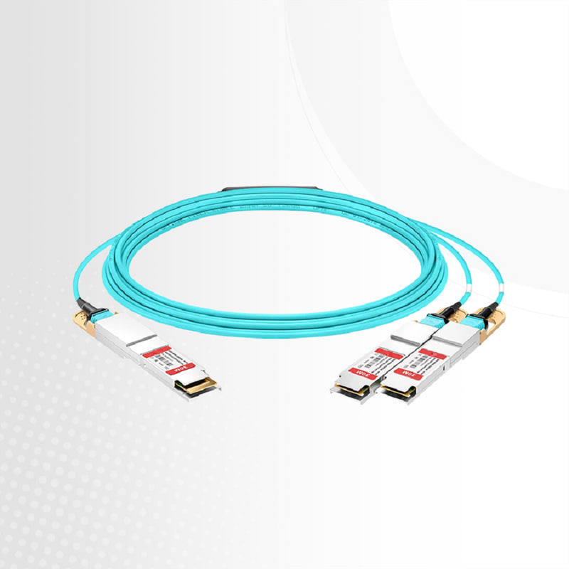 3m (10ft) 400G QSFP-DD 8 x 50G PAM4 to 2 x 200G QSFP56 4 x 50G PAM4 Active Optical Breakout Cable for FS Switches