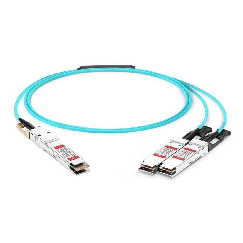 30m (98ft) Arista Networks Compatible 200G QSFP56 4 x 50G PAM4 to 2 x 100G QSFP28 4 x 25G NRZ Active Optical Breakout Cable