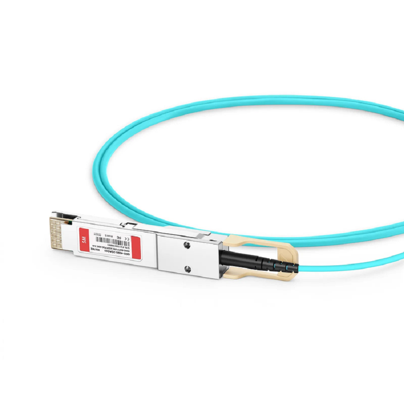30m (98ft) Generic Compatible 200G QSFP56 4 x 50G PAM4 to 2 x 100G QSFP28 4 x 25G NRZ Active Optical Breakout Cable