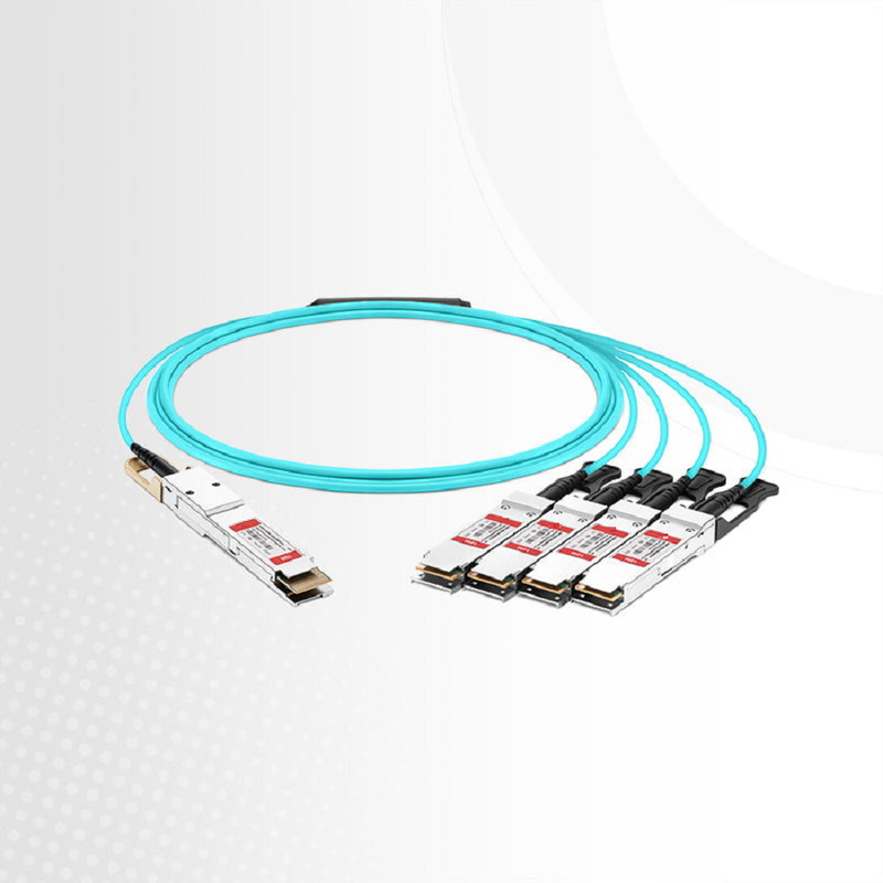 3m (10ft) Generic Compatible 400G QSFP-DD 8 x 50G PAM4 to 4 x 100G QSFP28 4 x 25G NRZ Active Optical Breakout Cable
