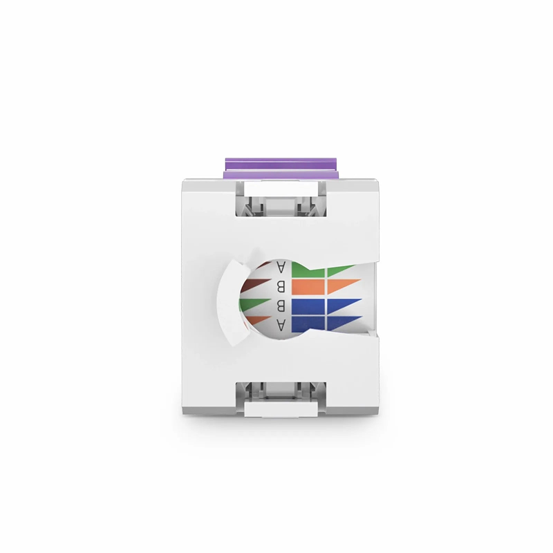 Cat6 RJ45 (8P8C) Unshielded Punch Down Keystone Jack Module, Purple (10 pcs/Pack)
